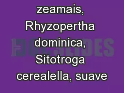 Sitophilus zeamais, Rhyzopertha dominica, Sitotroga cerealella, suave