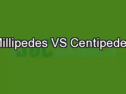 Millipedes VS Centipedes