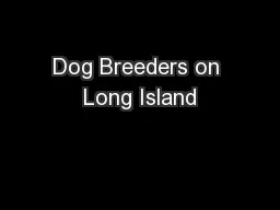 Dog Breeders on Long Island