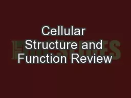 Cellular Structure and Function Review