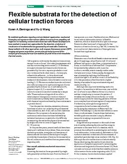 TRENDSin Cell Biology Vol.12 No.2  February 2002http://tcb.trends.com