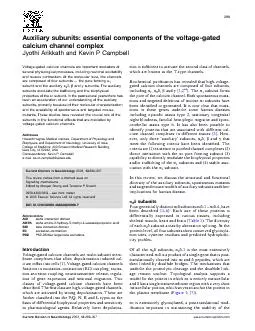 Auxiliarysubunits:essentialcomponentsofthevoltage-gatedcalciumchannelc