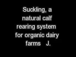 Suckling, a natural calf rearing system  for organic dairy farms   J.