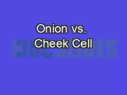 Onion vs. Cheek Cell