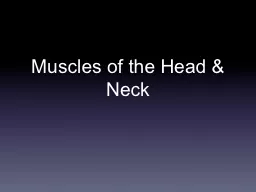 Muscles of the Head & Neck