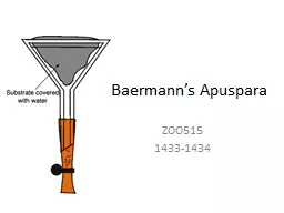 Baermann’s