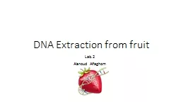 DNA Extraction from fruit