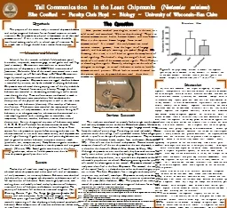 Tail Communication in the Least Chipmunks (
