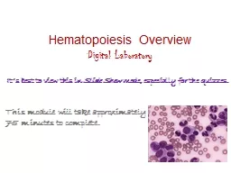 Hematopoiesis Overview