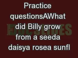 Practice questionsAWhat did Billy grow from a seeda daisya rosea sunfl