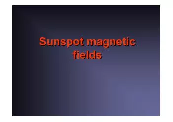 Sunspot magnetic
