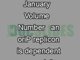 The Journal of Clinical In vestigation  January   Volume   Number   an oriP replicon is