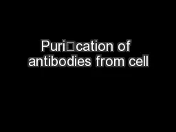 Purication of antibodies from cell