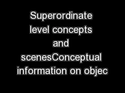 Superordinate level concepts and scenesConceptual information on objec