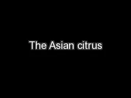 The Asian citrus