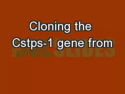 Cloning the Cstps-1 gene from