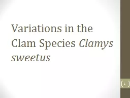 Variations in the Clam Species