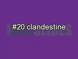 #20 clandestine