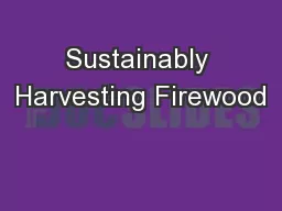 Sustainably Harvesting Firewood