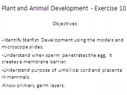 Plant and Animal Development - Exercise 10
