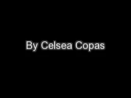 By Celsea Copas