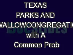 TEXAS PARKS AND WILDLIFESWALLOWCONGREGATIONSDealing with A Common Prob