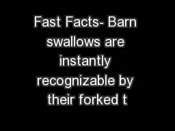 Fast Facts- Barn swallows are instantly recognizable by their forked t