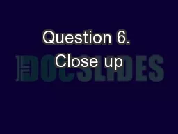 Question 6. Close up