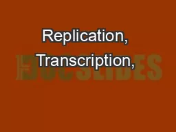 Replication, Transcription, & Translation