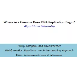 Where in a Genome Does DNA Replication Begin?