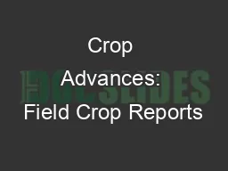 Crop Advances: Field Crop Reports