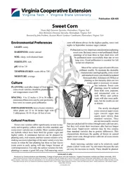 Sweet CornDiane Relf, Extension Specialist, Horticulture, Virginia Tec