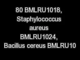 80 BMLRU1018, Staphylococcus aureus BMLRU1024, Bacillus cereus BMLRU10