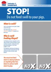 STOP!  Do not feed swill to your pigs.