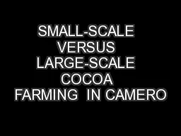 SMALL-SCALE  VERSUS  LARGE-SCALE  COCOA  FARMING  IN CAMERO
