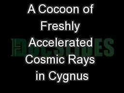 A Cocoon of Freshly Accelerated Cosmic Rays in Cygnus