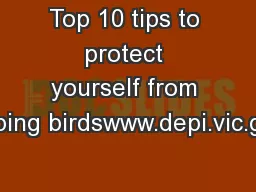 Top 10 tips to protect yourself from swooping birdswww.depi.vic.gov.au