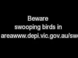 Beware swooping birds in the areawww.depi.vic.gov.au/swoop