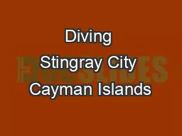 Diving Stingray City Cayman Islands
