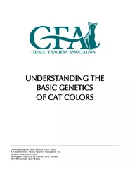 UNDERSTANDING THE  BASIC GENETICS OF CAT COLORS