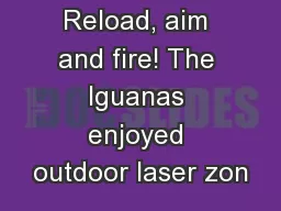 Reload, aim and fire! The Iguanas enjoyed outdoor laser zon