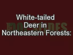White-tailed Deer in Northeastern Forests: