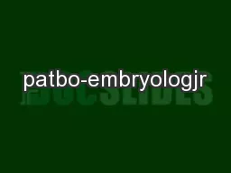 patbo-embryologjr