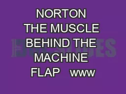 NORTON THE MUSCLE BEHIND THE MACHINE FLAP   www
