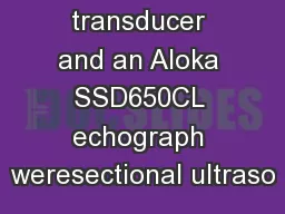 sound transducer and an Aloka SSD650CL echograph weresectional ultraso