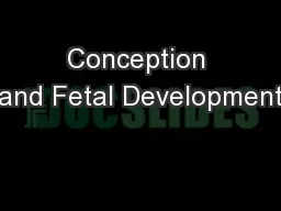 Conception and Fetal Development