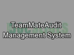 TeamMateAudit Management System