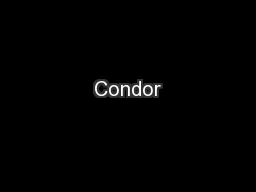 Condor