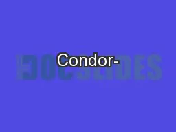 Condor-