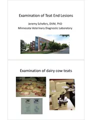 ExaminationTeat